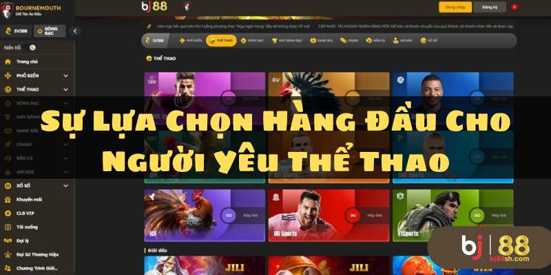 Thể thao BJ88: Sự lựa chọn hàng đầu cho người yêu thể thao